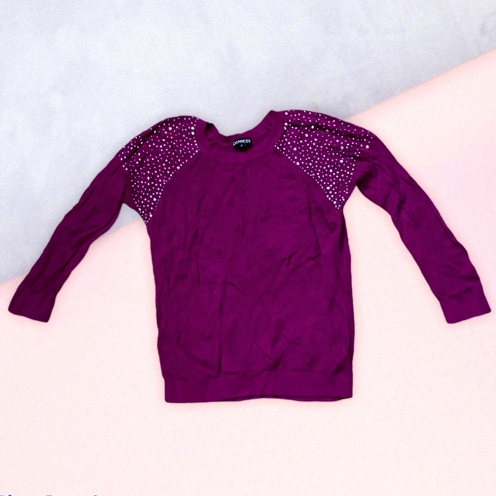 Express embellished plum netted sweater